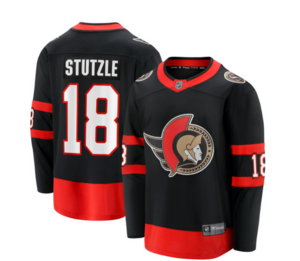 Fanatics Official Licensed Jersey Ottawa Senators #18 ST�TZLE