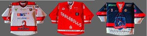 Verschiedene Metzen Liga-Trikots   >>> EINZELST�CKE 