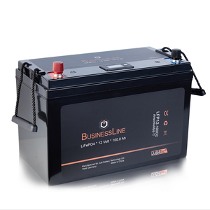 Premium LiFePO4 Akku 100Ah / 12V mit BMS (Batterie Management System)