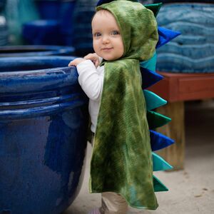 Drachen Kost�m Anton f�r Kinder