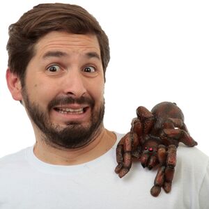 Spinne auf Schulter Partyspa� Kost�m-Zubeh�r f�r Erwachsene
