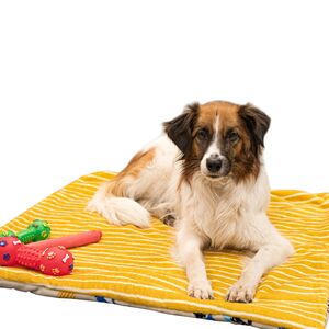 Tierdecke flauschig 78 x 78 cm mit Muster fr Haustiere