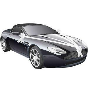 Hochzeits-Auto Girlande 8 cm x 20 m Autoschleife Autoschmuck Wedding Car Deko