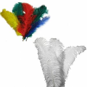 Strauenfeder wei 30 cm Kostm-Zubehr