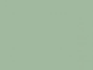 Russell Europe Herren Kapuzen Sweatshirt XS-3XL Authentic R-265M-0 NEU