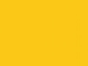 Russell Europe Herren Kapuzen Sweatshirt XS-3XL Authentic R-265M-0 NEU