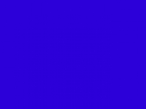 Seidensticker Damen Bluse b�gelfrei 100% Baumwolle Top Seller 80605 NEU