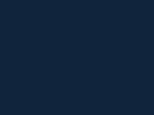 Stedman Damen T-Shirt Body Fit S-XL Claire Crew Neck ST9700 NEU