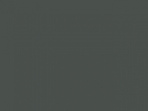 Stedman Damen T-Shirt Body Fit S-XL Claire Crew Neck ST9700 NEU