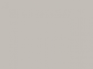 Tee Jays Damen kurzarm T-Shirt S-5XL in 10 versch. Farben Sof-Tee 8050 NEU