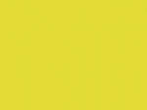 Gildan Light Cotton Adult T-Shirt 3000 Damen Herren Kurzarm T-Shirt NEU