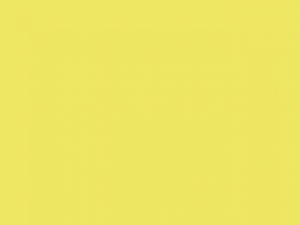 Yoko Fluo Softshell Bodywarmer HV006 Herren Arbeitskleidung NEU