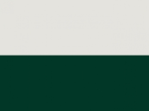 Tee Jays UNLABELED Two-tone Hooded Sweatshirt 5156 Damen Herren Kapuzenpullover