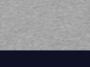 UNLABELED Two-tone Hooded Sweatshirt