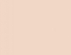 Iconic Premium Hooded Sweat