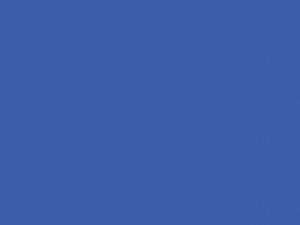 Iconic Premium Hooded Sweat