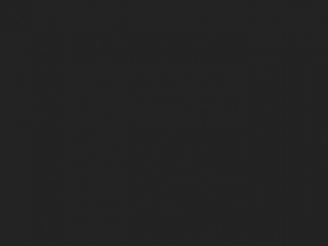 Iconic Premium Sweat Jacket