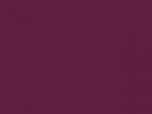 Iconic 250 Hooded Sweat