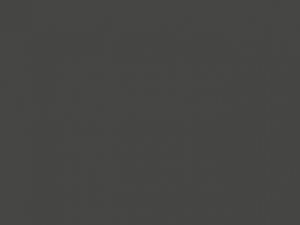 Iconic 250 Hooded Sweat