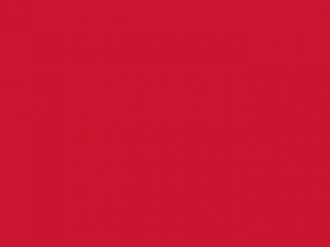 Iconic 250 Hooded Sweat