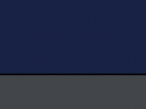 Pro Universal Bodywarmer