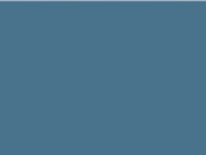 EarthAware� Organic Maxi Bag for Life