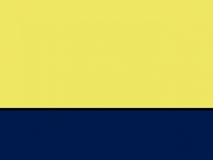 Yoko Sicherheitsweste Reflektor EN ISO20471 Klasse 2 Hi-Vis Executive HVW801