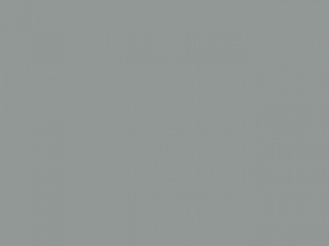 Tee Jays Damen Poloshirt 5er Knopfleiste Enzyme wash Pima 1441 NEU