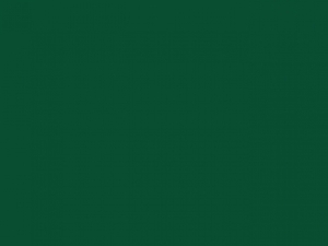 Gildan Herren rundhals Shirt in 55 Farben Ring Spun T-Shirt NEU