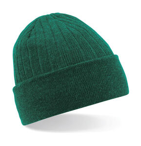 10er Pack Thinsulate(TM) Beanie