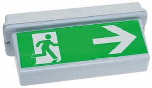 LED Fluchtwegleuchte NL-D2 30 LEDs Erkennungsw. 25m, Deckenmontage, IP65