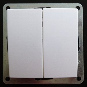 7729 Einsatz Serien Schalter 2-fach 250 Volt 10 Ampere