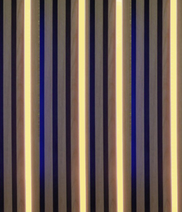 3558 LED Paneele Leuchte Warm Wei�-Kalt Wei� KS-wei� 4x100cm+ Fernb.