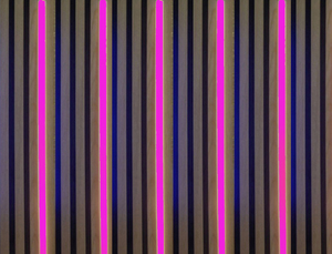 3578  LED Leuchte KS-wei� 5x50cm m. Fernb. Pink