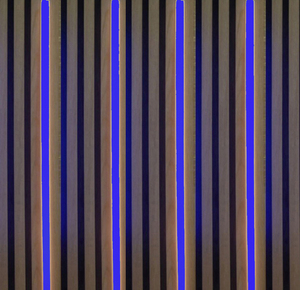 3730 LED Leuchte Kunststoff Schiene 4x150cm inkl. Netzteil Blau