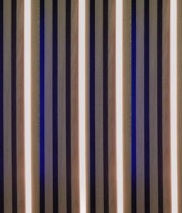 3786 LED Leuchte Kunststoff Schiene-schwarz 4x50cm Netzteil Neutral We