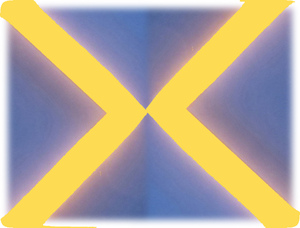 8027 LED Light Stick X-Form L�nge 4x0,5m 12 Volt Netzteil ORANGE