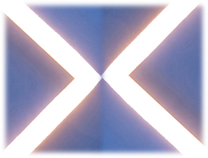 8061 LED Light Stick X-Form 4x0,5m 12 Volt Netzteil Kalt Wei�