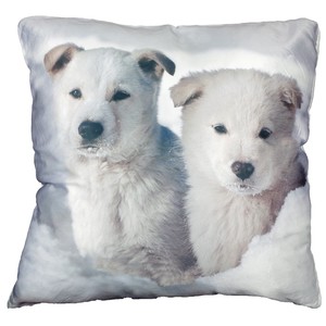 Couchkissen Dekokissen Motiv wei�er Sch�ferhund Welpe 45x45cm Wintertiermotiv 