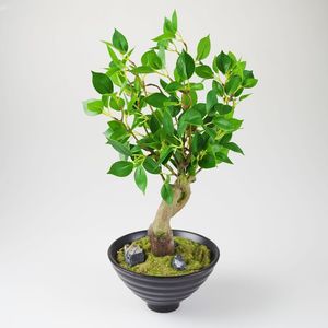 Fikus Kunstblume grn mit Keramikschale 40cm Dekopflanze Grnpflanze Birkenfeige