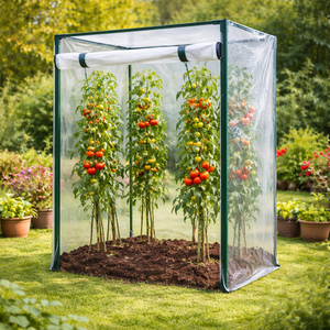 Tomatengew�chshaus Fr�hbeet Foliengew�chshaus 100x50x150cm