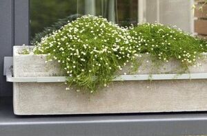Blumenkastenhalterung Fenster Blumenkastenhalter verstellbar Aluminium Druckguss 