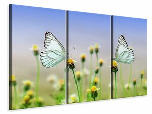 Leinwandbild 3-teilig 2 Schmetterlinge