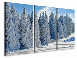 Leinwandbild 3-teilig Schne Winterlandschaft