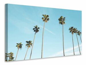 Leinwandbild Ein Himmel voller Palmen
