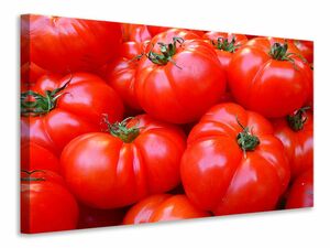 Leinwandbild Frische Tomaten
