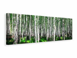 Leinwandbild Panorama Sommerlicher Birkenwald