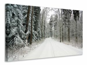 Leinwandbild Schnee im Wald