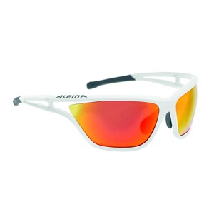Alpina Sonnenbrille Herren Eye-5 CM+ mit gummierte und verstellbare Nasenpads