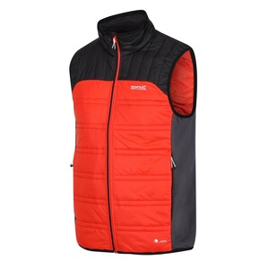 Regatta Hybrid Weste / Bodywarmer fr Herren Halton V